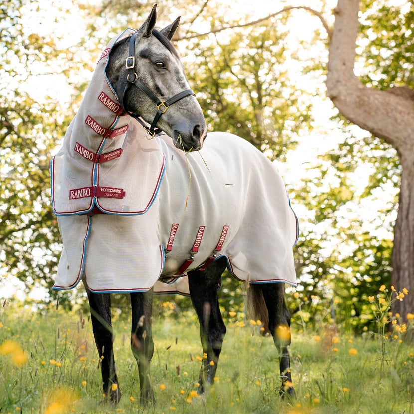 Horse standing in a field wearing the Horseware Protector Fly Sheet